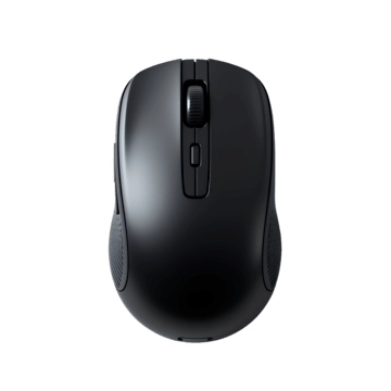 MOUSE